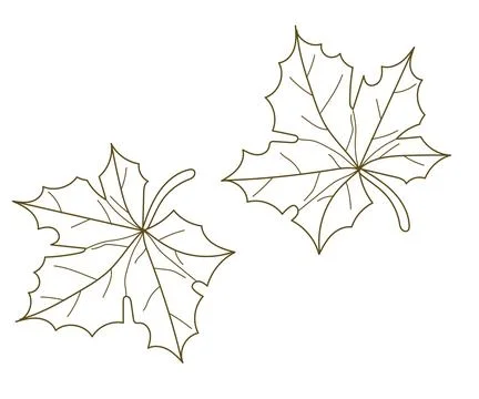 Hand drawing brown maple leaf line art collection.Vector illustration. Stock Illustration