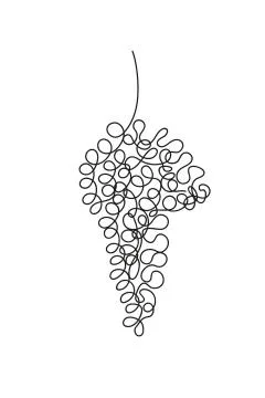 Hand drawing of a bunch of grapes. Continuous line illustration. Stock Illustration