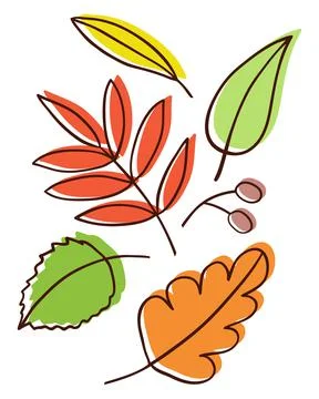 Hand drawing cartoon autumn falling leaves. Stock Illustration