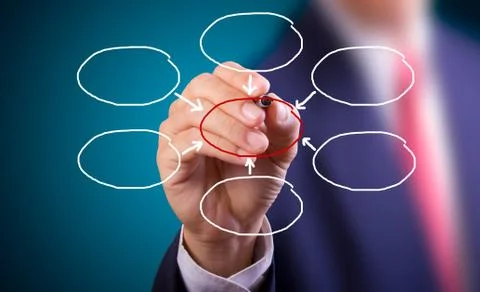 Hand drawing chart on whiteboard Stock Photos