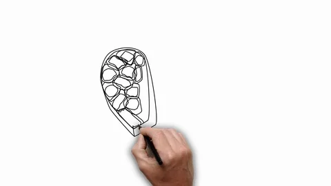 Hand drawing chocolates heart shape case sketch animation Stock Footage 125281919