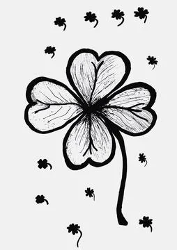 Hand drawing of clover leaf with black line ink on white paper, Stock-Illustration
