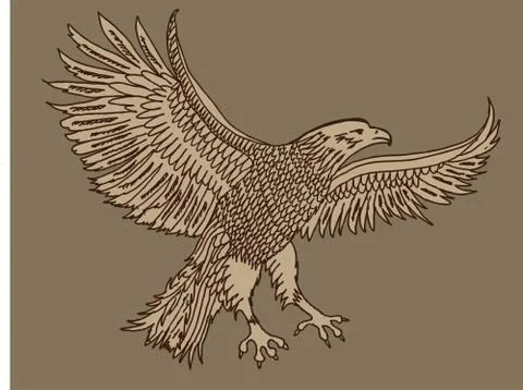 Hand drawing eagle vector art Illustrazione stock