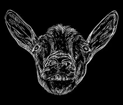 Hand drawing funny goat head with a teeth on a black vector illustration Stock Illustration