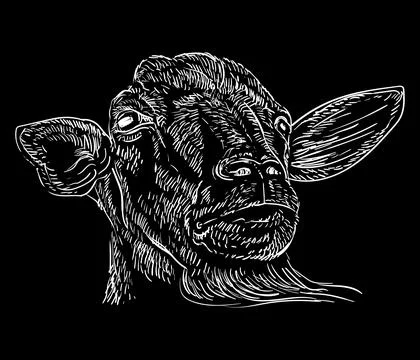 Hand drawing goat head with a beard on a black vector isolated illustration 스톡 일러스트