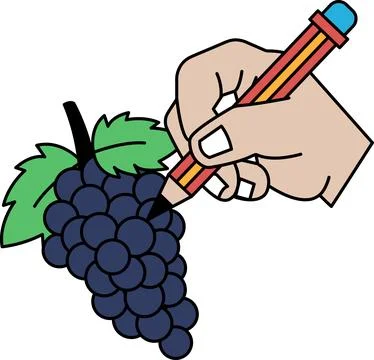 A hand is drawing a grape with a pencil Stock Illustration