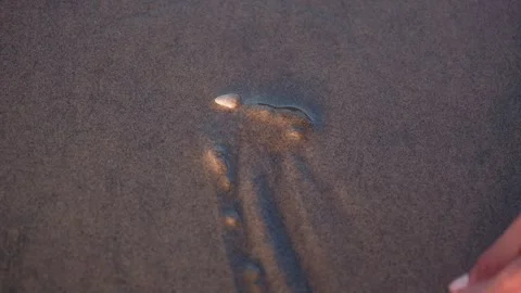 Hand drawing heart shape around small white shell on Goa India beach sand Stock Footage 348055170