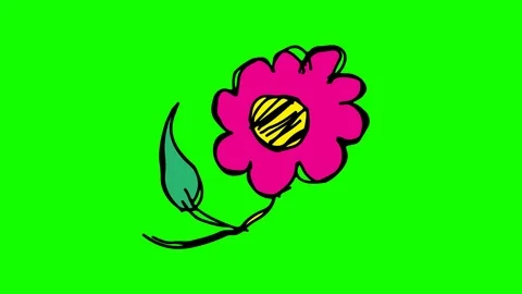 Hand drawing icon green screen with theme of flower Stock Footage 100602384