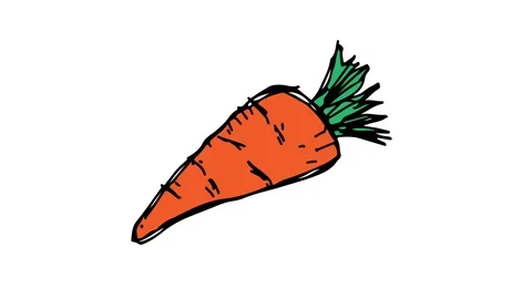 Hand drawing icon white screen with theme of carrot Video stock 100602711