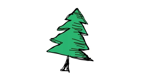 Hand drawing icon white screen with theme of cypress Stock Footage 100603205