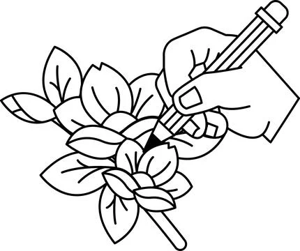 A hand is drawing a leaf with a pencil Stock Illustration