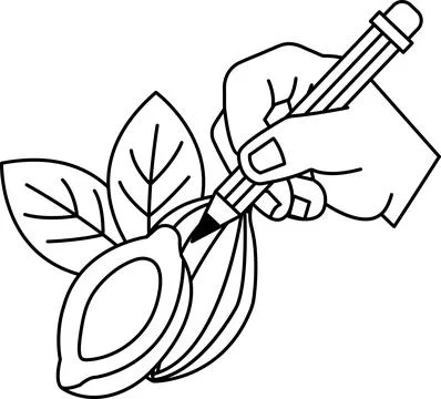 A hand is drawing a leaf with a pencil Stock Illustration