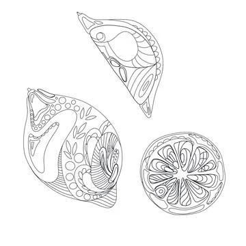 Hand drawing lemon slice set isolate on white Stock Illustration