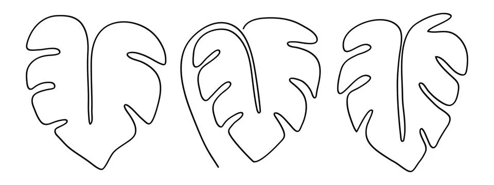 Hand-drawing one continuous line art of tropical monstera leaves. Set of tr.. Stock Illustration