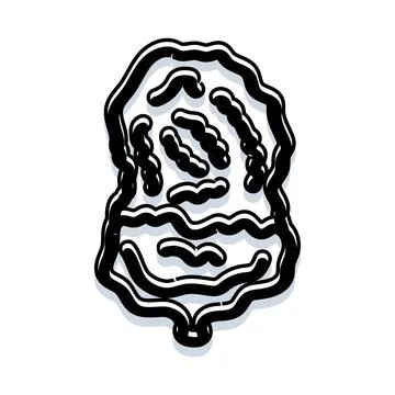 Hand drawing oyster shell sketch doodle Stock Illustration