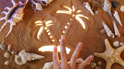 Hand drawing Palm Trees symbol in the sand. Beach background. Top view Stock Footage 61587422