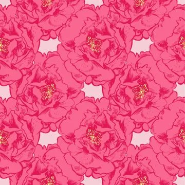 Hand-drawing peonies. Vector graphic flowers. Decorative background for cards Stock Illustration