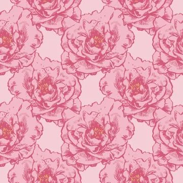 Hand-drawing peonies. Vector graphic flowers. Decorative background for cards Stock Illustration