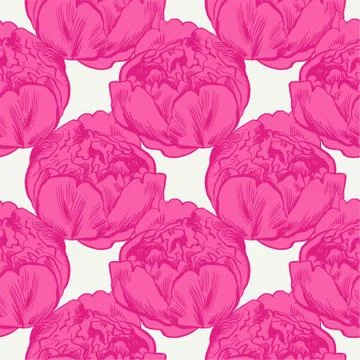 Hand-drawing peonies. Vector graphic flowers. Decorative background for cards Stock Illustration