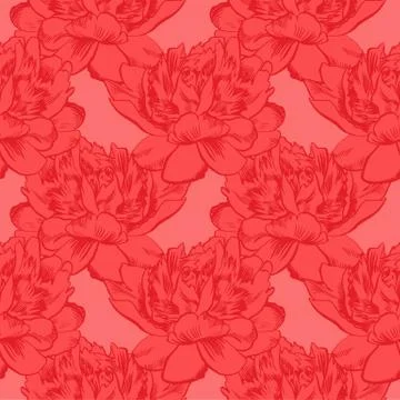 Hand-drawing peonies. Vector graphic flowers. Decorative background for cards Stock Illustration