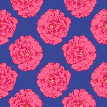 Hand-drawing peonies. Vector graphic flowers. Decorative background for cards Illustrazione stock