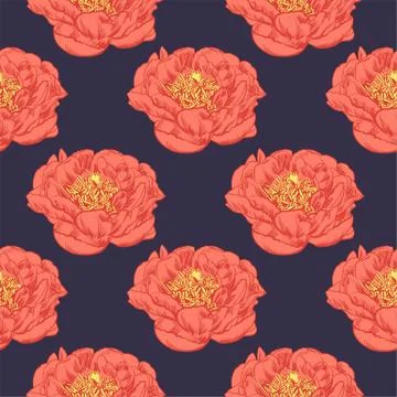 Hand-drawing peonies. Vector graphic flowers. Decorative background for cards Stock Illustration