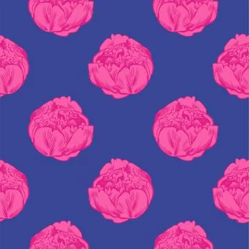 Hand-drawing peonies. Vector graphic flowers. Decorative background for cards Illustrazione stock