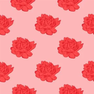 Hand-drawing peonies. Vector graphic flowers. Decorative background for cards Stock Illustration
