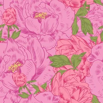 Hand-drawing peonies. Vector graphic flowers. Decorative background for cards Stock Illustration