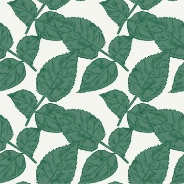 Hand-drawing peonies. Vector graphic flowers. Decorative background for cards Stock Illustration