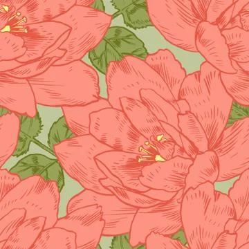 Hand-drawing peonies. Vector graphic flowers. Decorative background for cards Stock Illustration