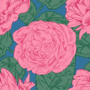 Hand-drawing peonies. Vector graphic flowers. Decorative background for cards Stock Illustration