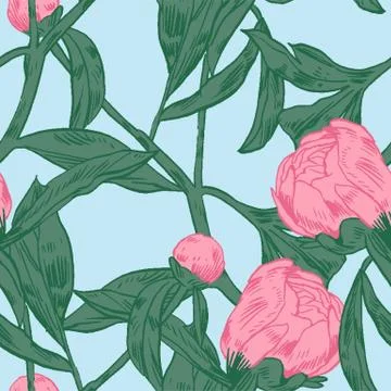 Hand-drawing peonies. Vector graphic flowers. Decorative background for cards Illustrazione stock