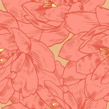 Hand-drawing peonies. Vector graphic flowers. Decorative background for cards Illustrazione stock