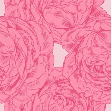 Hand-drawing peonies. Vector graphic flowers. Decorative background for cards Stock Illustration
