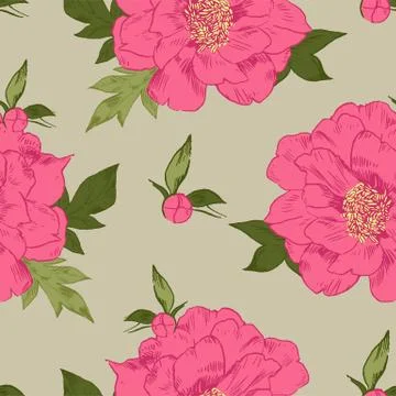 Hand-drawing peonies. Vector graphic flowers. Decorative background for cards Illustrazione stock