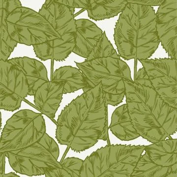 Hand-drawing peonies. Vector graphic flowers. Decorative background for cards Illustrazione stock