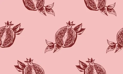 Hand drawing pomegranate vector illustration. Cut fruit and seeds. Branch and Stock Illustration