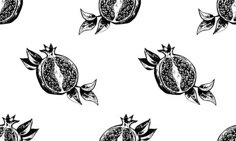 Hand drawing pomegranate vector illustration. Cut fruit and seeds. Branch and Stock Illustration