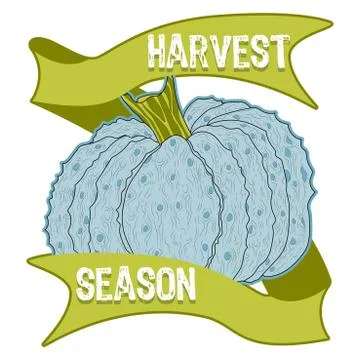 Hand-drawing pumpkin vector Stock Illustration