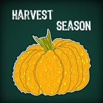 Hand-drawing pumpkin vector Stock Illustration
