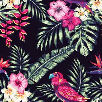 Hand-drawing seamless pattern with tropical birds on the background of exotic Stock Illustration