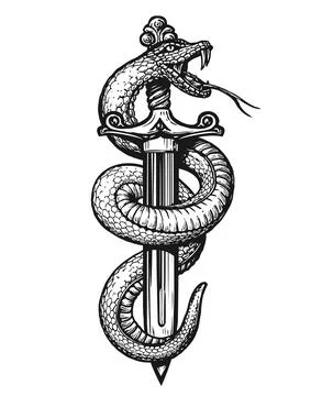 Hand drawing snake wrapped around dagger. Tattoo vector illustration in vintage Stock Illustration