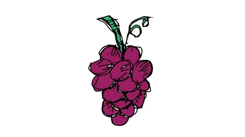 Hand drawing symbol white screen with theme of grapes Stock Footage 100644223