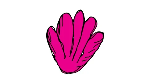Hand drawing symbol white screen with theme of shells Stock Footage 100685629