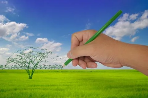 Hand drawing tree on fields Stock Illustration