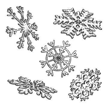 Hand drawing various snowflakes winter holiday season Stock Illustration