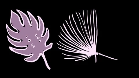 Hand-drawing white silhouettes of tropical leaves on a black background. Exotic Видео 339022020