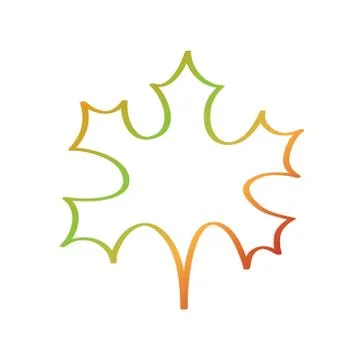 Hand drawm maple leaf calligraphy autumn symbol on white, stock vector illust Stock Illustration