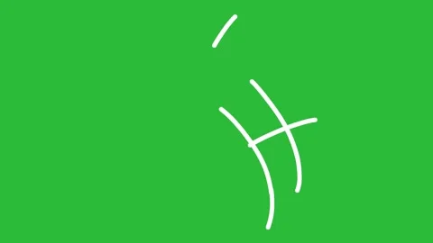 Hand Drawn 2D Animated White Curved Grid Cross Hatching Lines on Green Screen Stock Footage 339335448